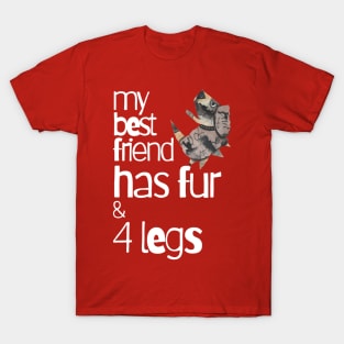 Dogs, My Best Friend Has Fur And Four Legs T-Shirt